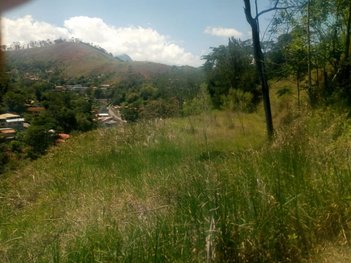 land_lot em Estrada das Arcas, Itaipava - Petrópolis - RJ