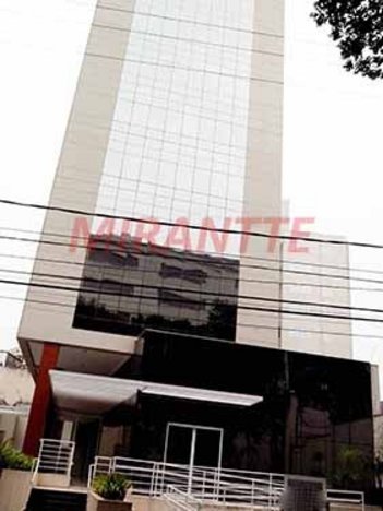 office em Paulo De Faria, Vila Gustavo - São Paulo - SP