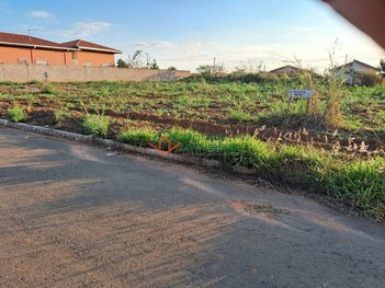 land_lot em Rua João Ribeiro dos Santos, Mato Seco - Cesário Lange - SP