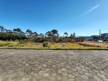 land_lot em Rua Noé Pirola, Vila Floresta II - Criciúma - SC