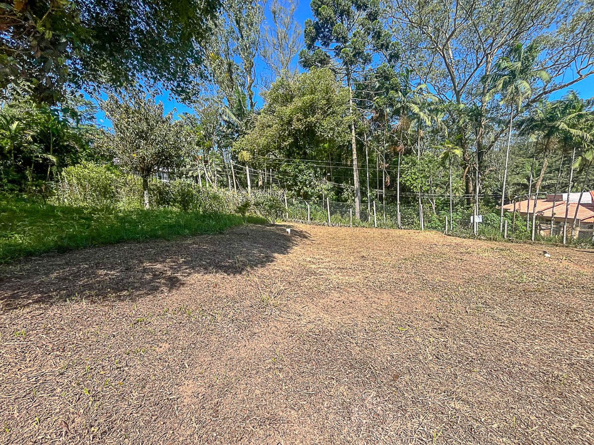 img0
