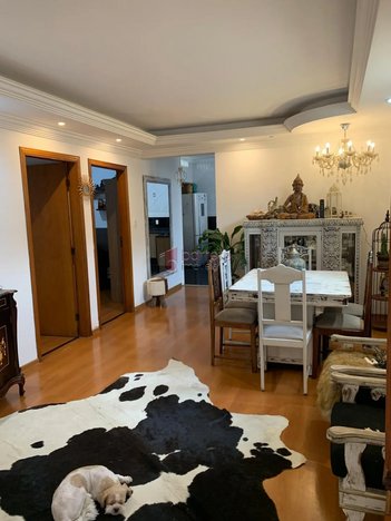 house em Rua Delfim Moreira, Jardim Danúbio - Jundiaí - SP