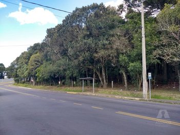 land_lot em João Vergani, Cruzeiro - Caxias do Sul - RS