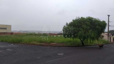 land_lot em Avenida Edy Maria Albino da Cunha, Parque Gramado II - Araraquara - SP