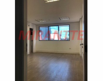 office em José Debieux, Santana - São Paulo - SP