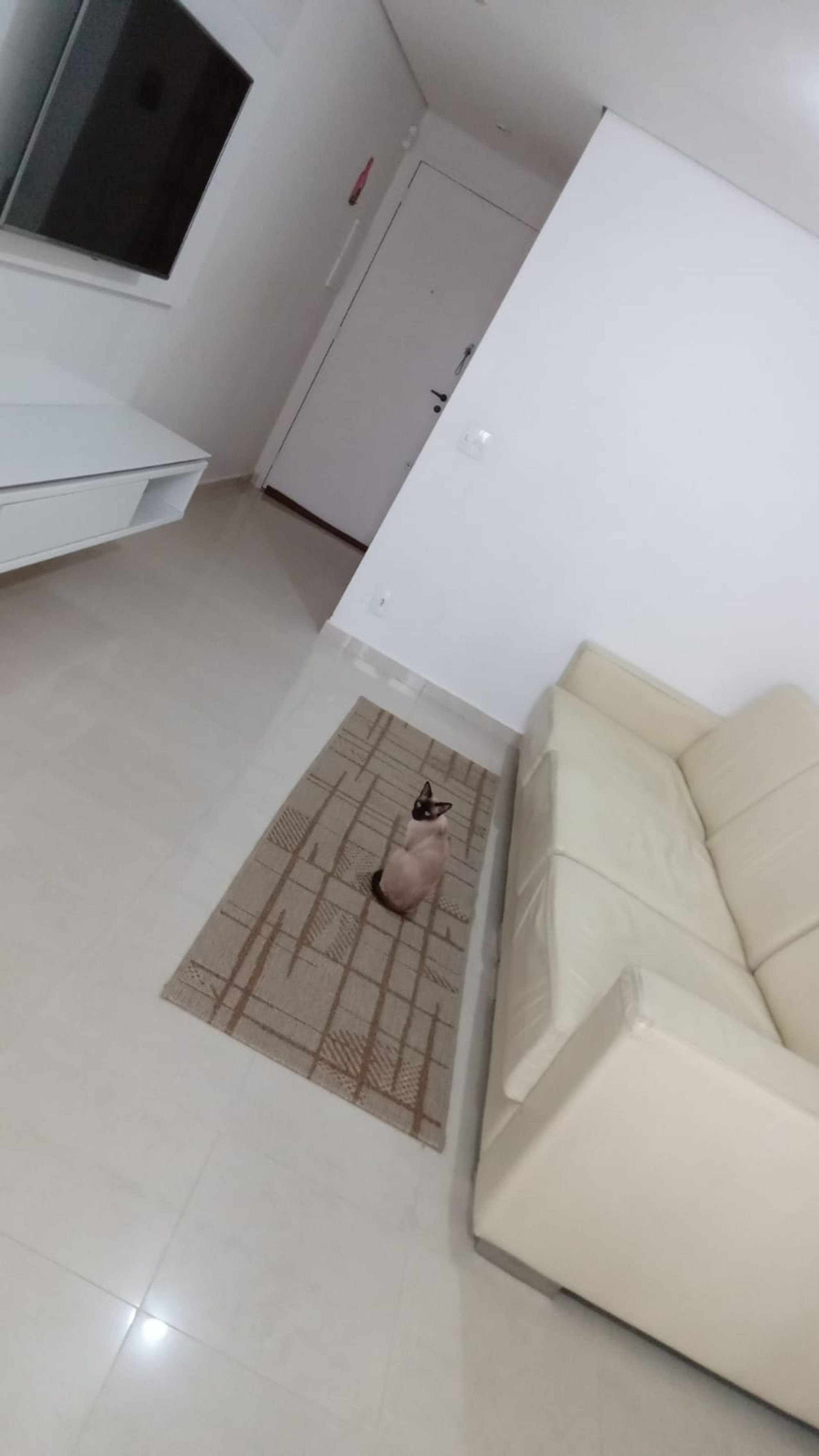 img0