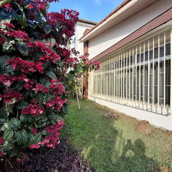 house em Rua Tomás Aquino de Macedo, Vila Romana - São Paulo - SP