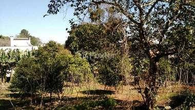 land_lot em Rua Leopoldo Feldens, Hidráulica - Lajeado - RS