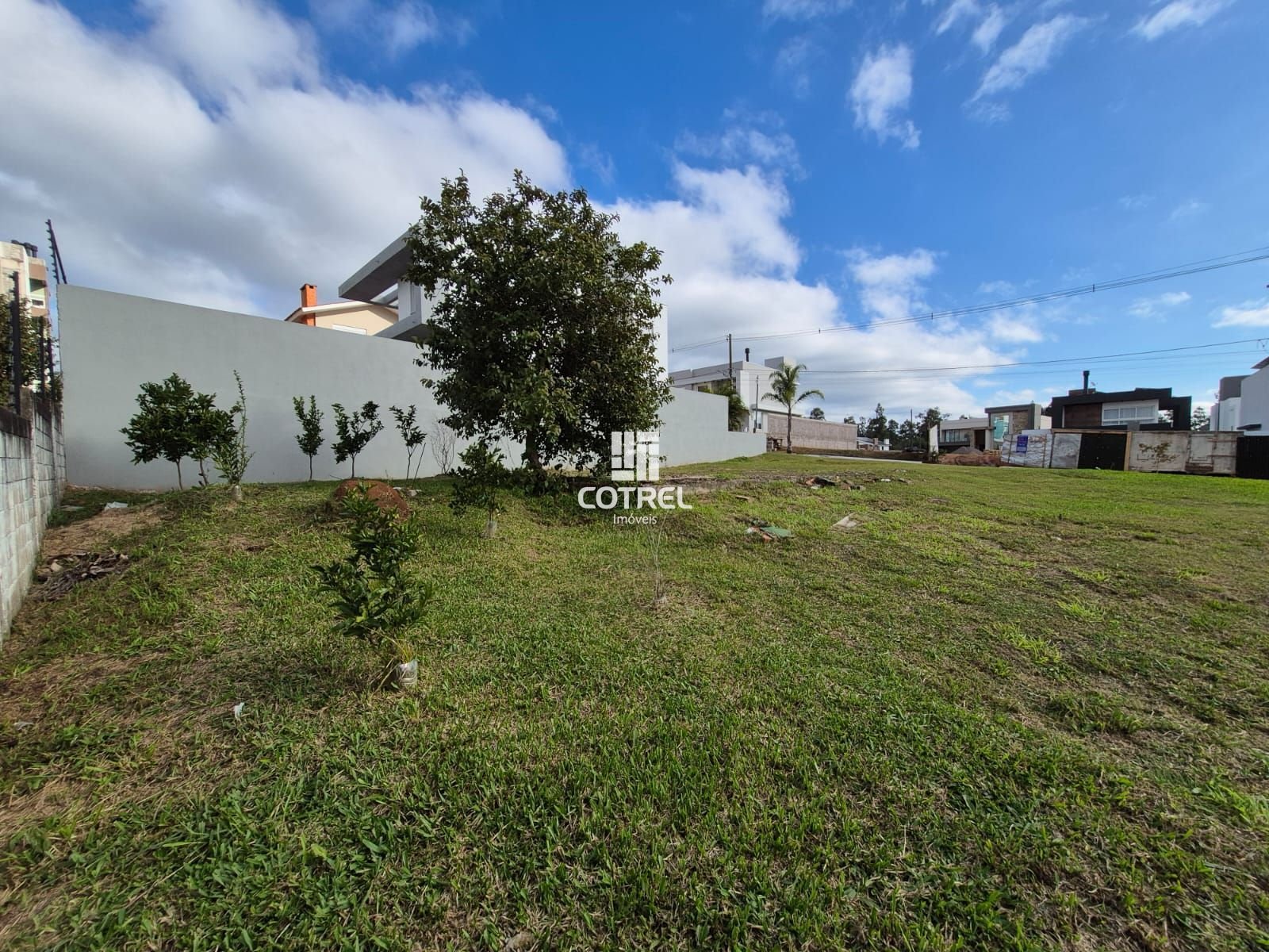img326196729