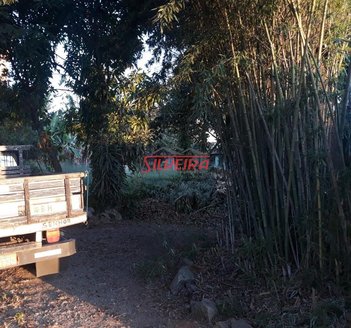 land_lot em Rua Heitor Sócrates Cardoso, Santa Amélia - Belo Horizonte - MG