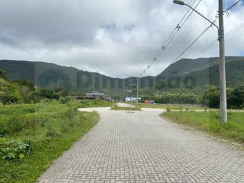 land_lot em Baldicero Filomeno, Ribeirão da Ilha - Florianópolis - SC