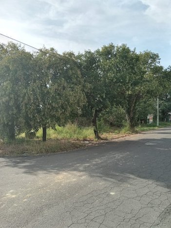 land_lot em ITAPETININGA, São Judas Tadeu - Gravataí - RS