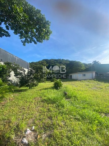 land_lot em Rodovia Doutor Antônio Luiz Moura Gonzaga, Rio Tavares - Florianópolis - SC