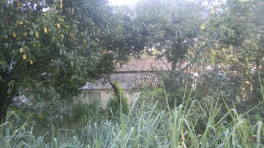 land_lot em Avenida Doutor Nilo Peçanha, Marapé - Santos - SP