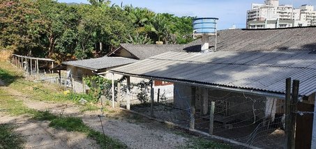 land_lot em Alexandre Euzébio Jacinto, Itacorubi - Florianópolis - SC