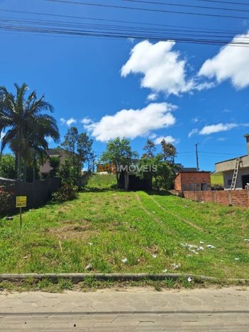 land_lot em Rua Nossa Senhora Aparecida, Buenos Aires - Criciúma - SC