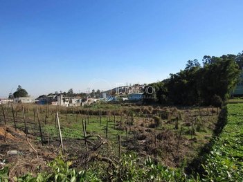 land_lot em Estrada da Cachoeira, Jardim São Paulo(Zona Norte) - São Paulo - SP