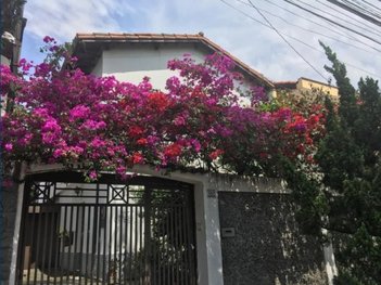 house em Rua Pascoal Pais, Vila Cordeiro - São Paulo - SP