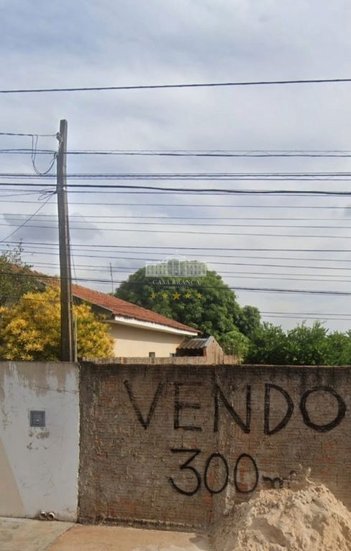 land_lot em Rua São Caetano, Panorama - Araçatuba - SP
