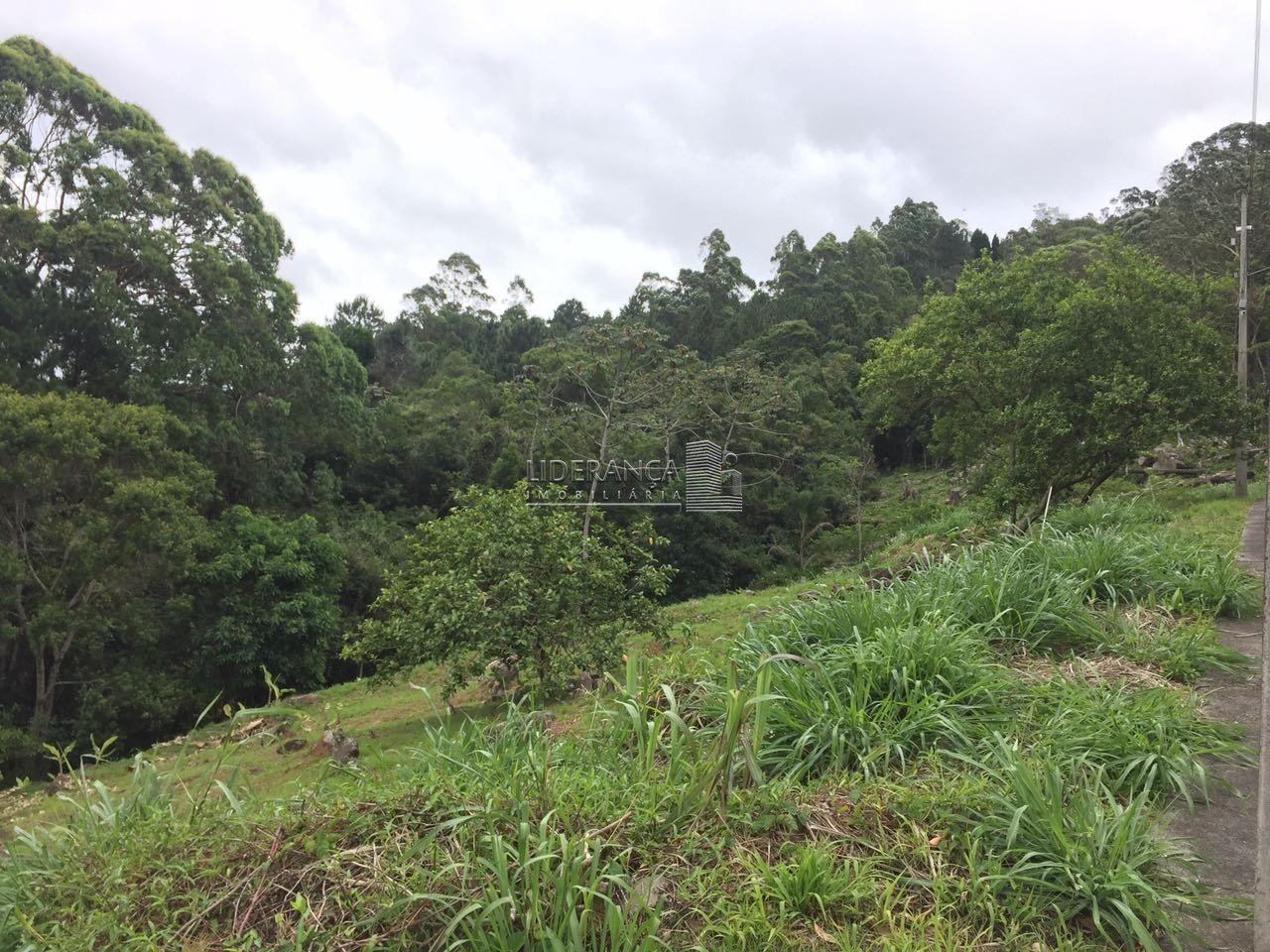Terreno Trindade - 09