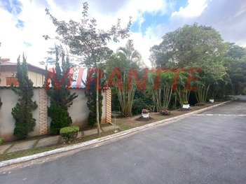 land_lot em Rua Teodoro Lanhoso, Jardim Virginia Bianca - São Paulo - SP