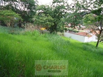 land_lot em Rua Padre Roque, Centro - Mogi Mirim - SP