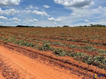 agricultural em Estrada Vicinal, Área Rural de Quatá - Quatá - SP
