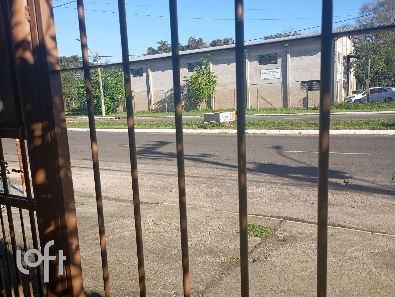 photo_5095938895702068044_y