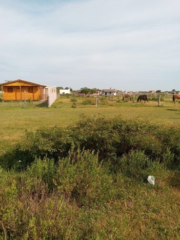 land_lot em Avenida dos Albatrozes, Cassino - Rio Grande - RS