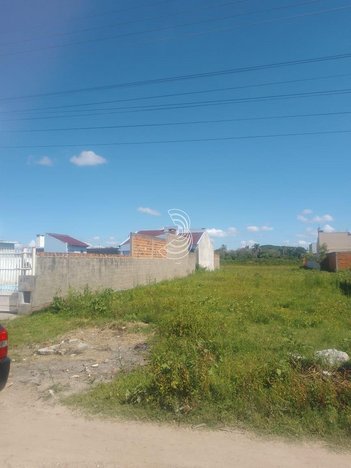 land_lot em Rua Mário Américo Passos, Laranjal - Pelotas - RS