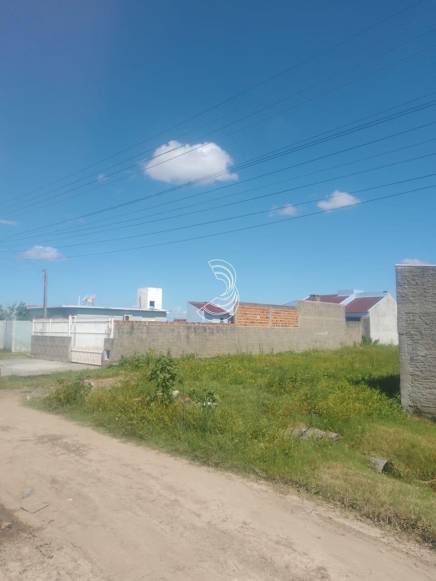 Imagem do WhatsApp de 2025-01-18 à(s) 12.58