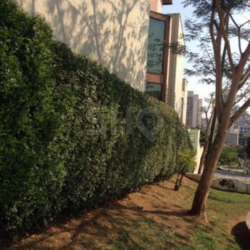 house em Rua Cácio de Moura, Jardim Piqueroby - São Paulo - SP