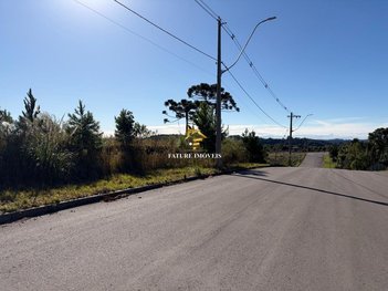 commercial_land_lot em Rua Romeu Antonio de Antoni, Santa Catarina - Caxias do Sul - RS