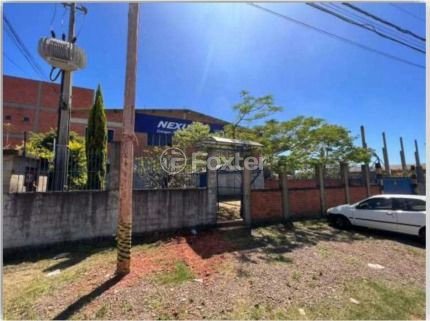 WhatsApp Image 2024-07-18 at 08.50.04 (4).jpeg