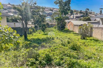 land_lot em Rua São João Batista, Fátima - Colombo - PR