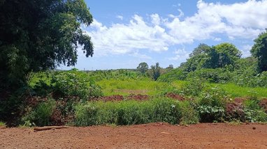 commercial_land_lot em Rua Joaquim Felismino da Silva, Cilo 3 - Londrina - PR