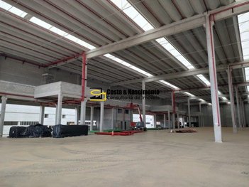 industrial em Avenida dos Estados, Parque Jaçatuba - Santo André - SP