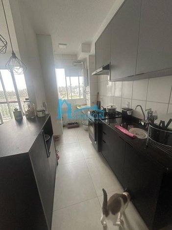 apartment em Rua Alzira Marcondes, Residencial Parque da Fazenda - Campinas - SP
