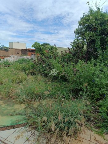 land_lot em Avenida Presidente Vargas, Setor Central - Rio Verde - GO