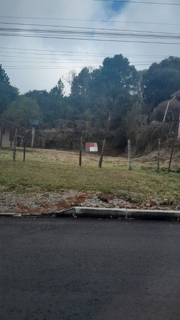 land_lot em Estrada Bento Osvaldo Trisch, Pedancino - Caxias do Sul - RS