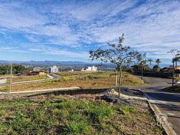 land_lot em Rua Vereador Raul De Lucca, Mina do Mato - Criciúma - SC