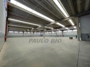 industrial em Forte do Leme, Parque São Lourenço - São Paulo - SP