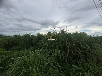 land_lot em Rua Paulo Sabino, Loteamento Bertaville - Palmas - TO