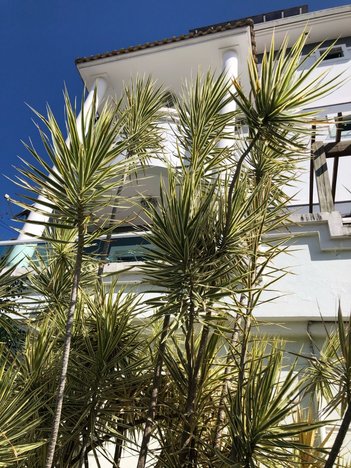 apartment em Trieste, Pagani - Palhoça - SC