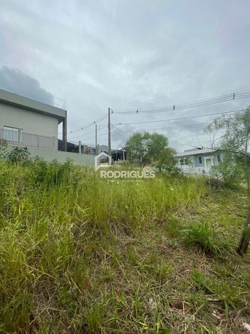 land_lot em Rua Theobaldo Klein, Jardim Panorâmico - Ivoti - RS