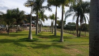 land_lot em Rodovia Mábio Gonçalves Palhano, Gleba Fazenda Palhano - Londrina - PR