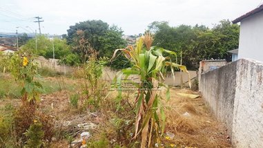 land_lot em Rua Paula Ney, Centro - Votorantim - SP