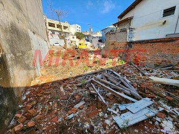 land_lot em Ribeirão Das Almas, Vila Palmeiras - São Paulo - SP