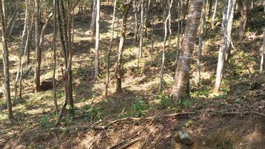 land_lot em Rodovia BR-040, Araras - Petrópolis - RJ