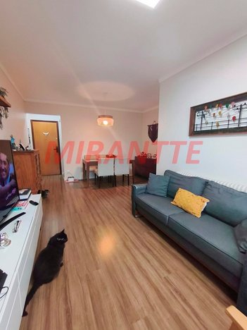 apartment em Avenida Parada Pinto, Vila Nova Cachoeirinha - São Paulo - SP